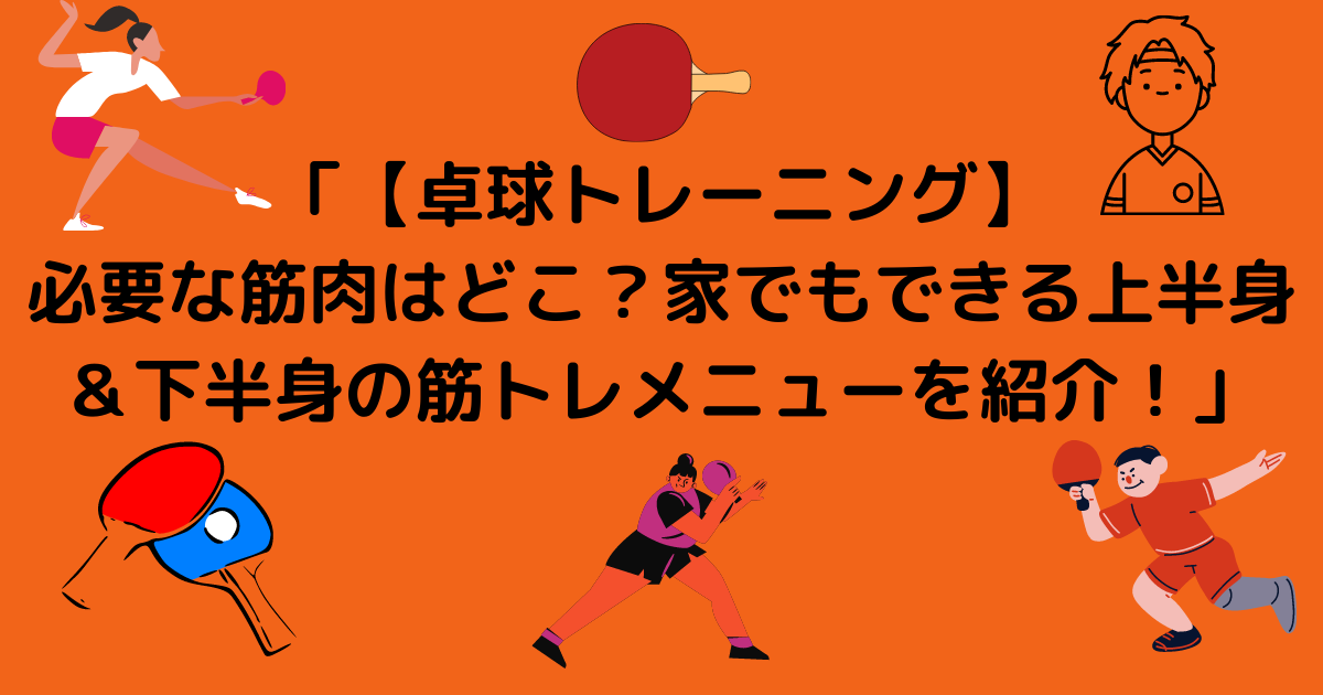 卓球トレーニング 必要な筋肉はどこ 家でもできる上半身 下半身の筋トレメニューを紹介